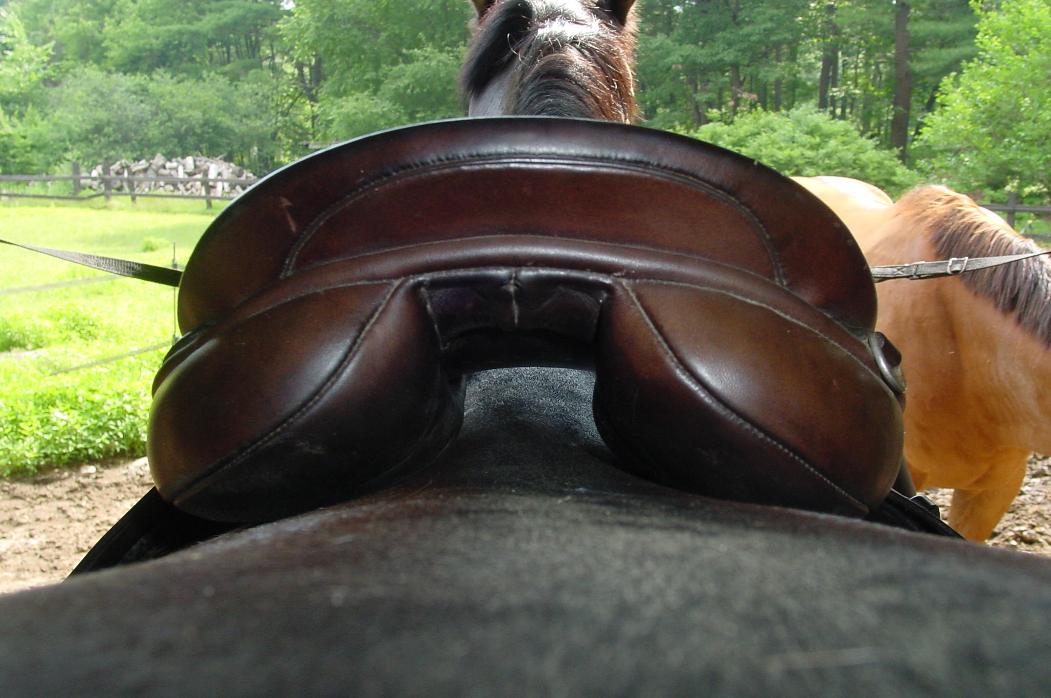 What are some tips for properly fitting a western saddle?
